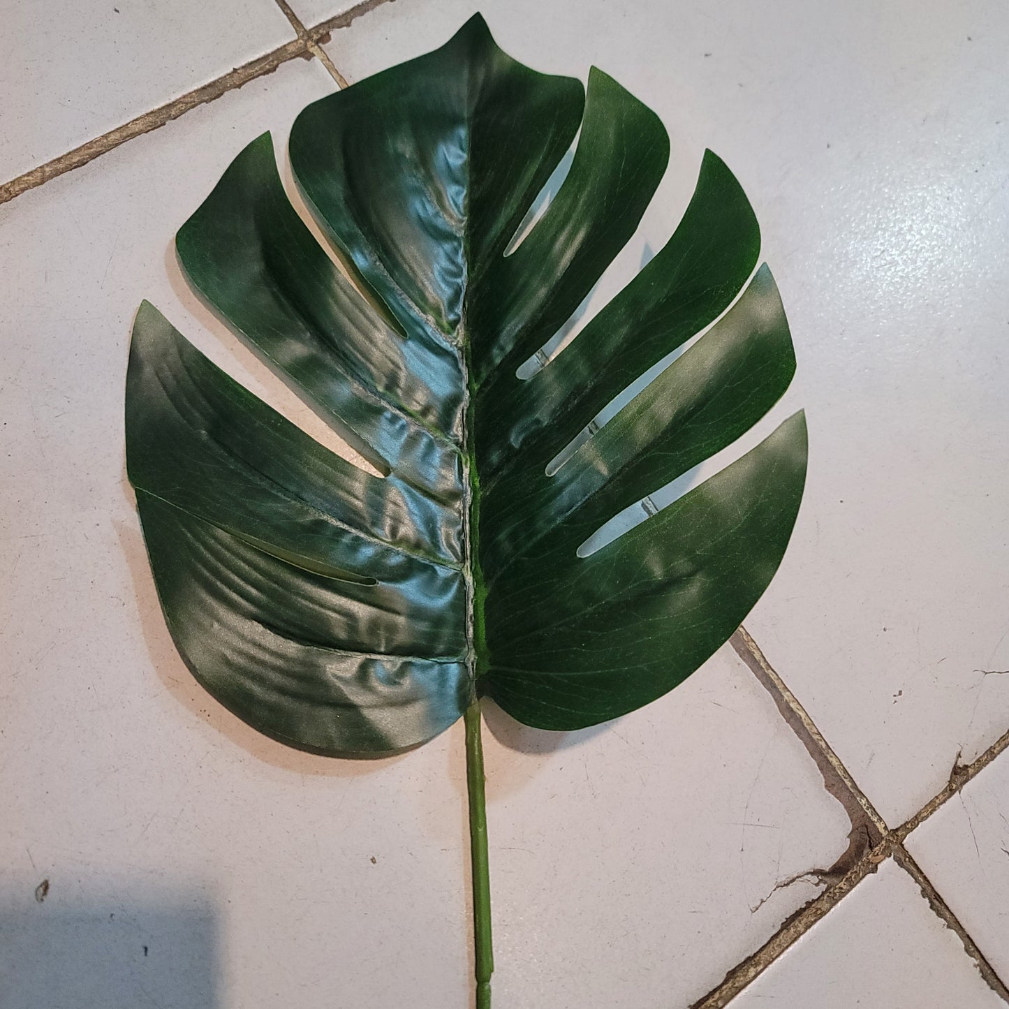 Monstera Single Leaves