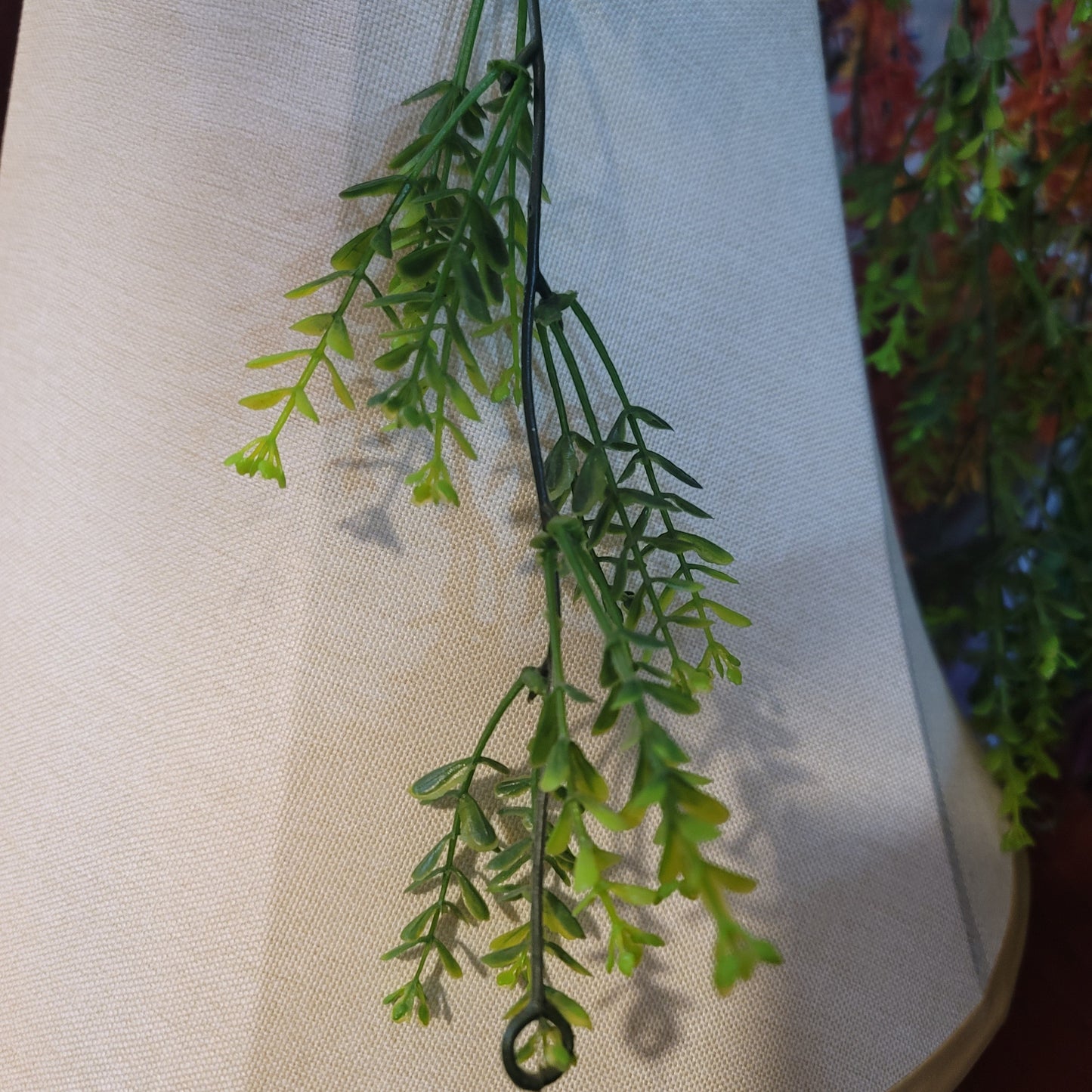 Brazilian Flower Vine