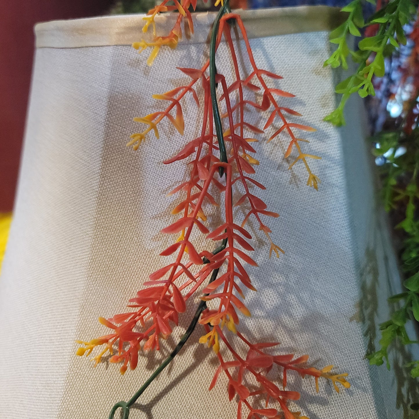 Brazilian Flower Vine