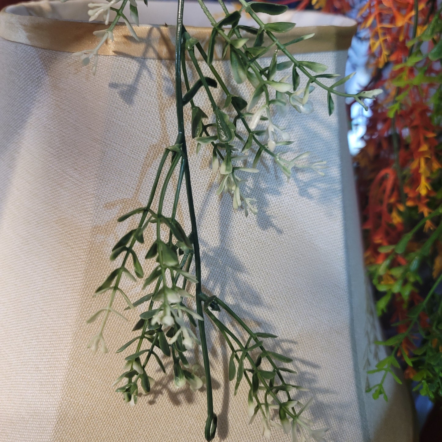 Brazilian Flower Vine