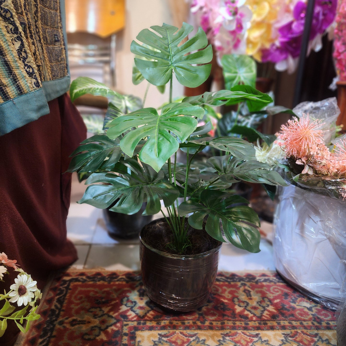 Monstera 12-Leaf Bunch with Fiber Pot