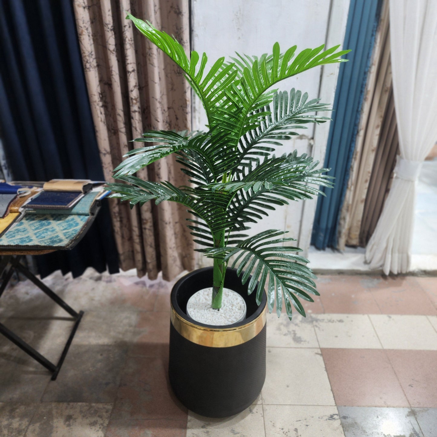 Palm with Fiber Pot 5.5ft