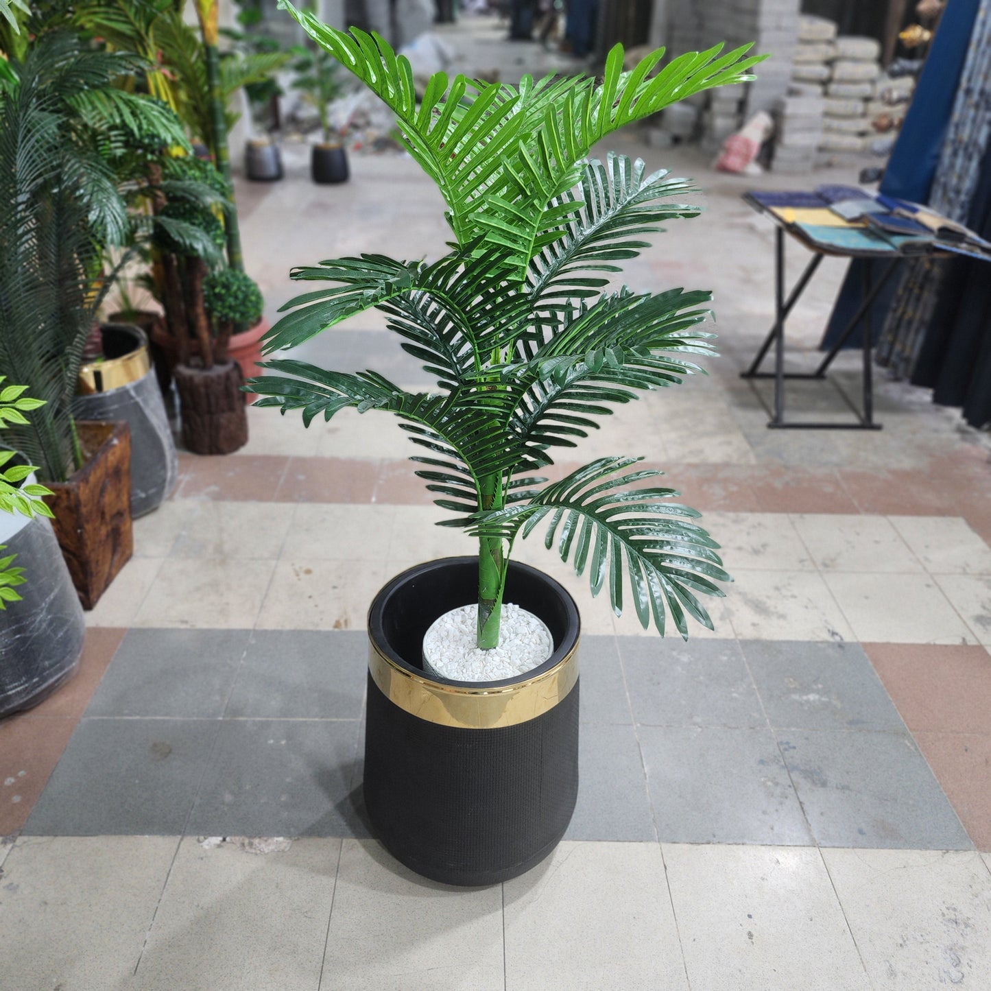 Palm with Fiber Pot 5ft