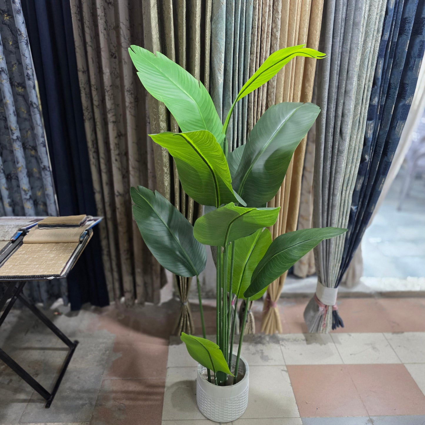 Banana Palm - 8 Leaves with fiber pot 6ft