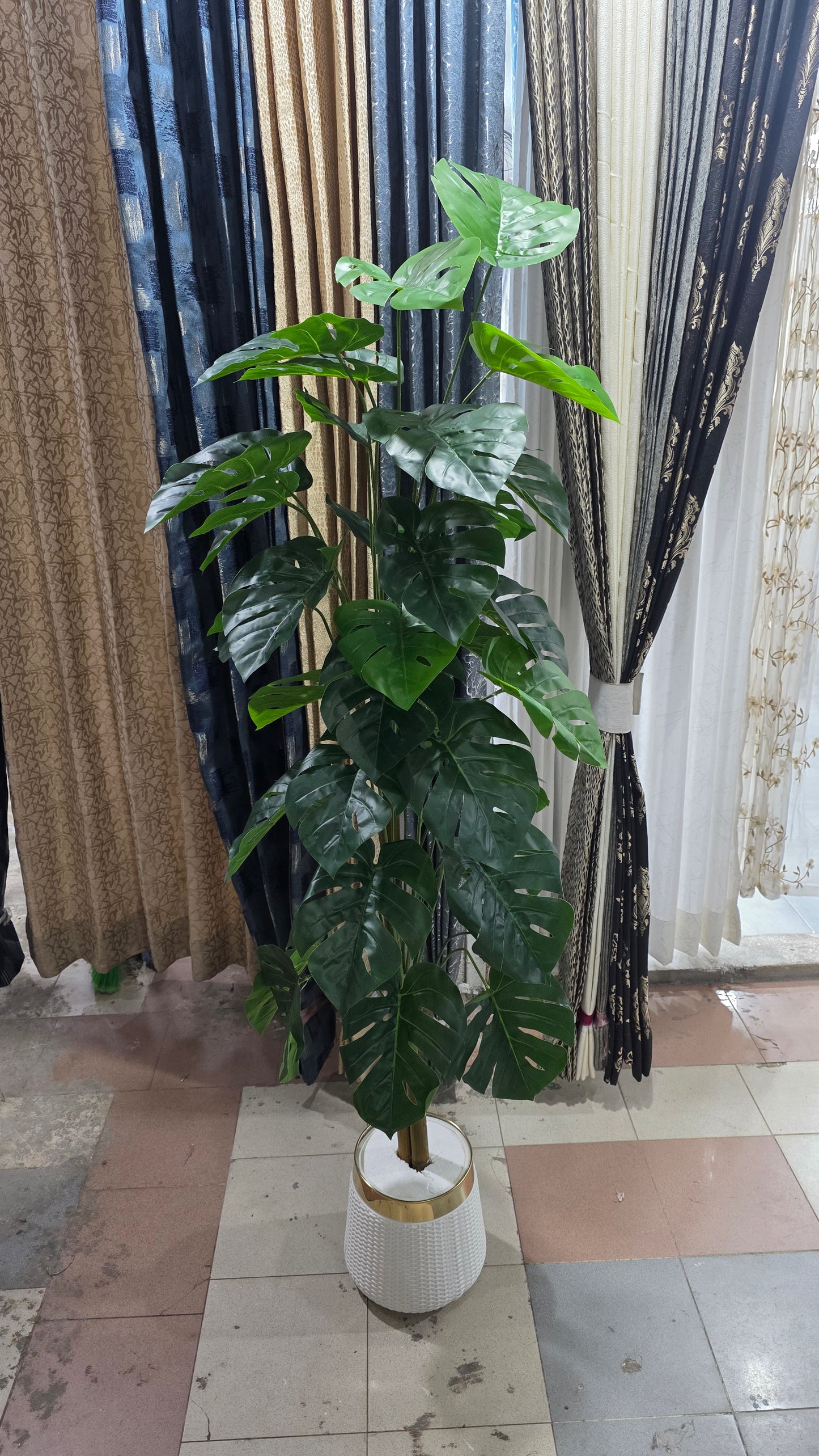 Monstera Plant with Pot 6ft