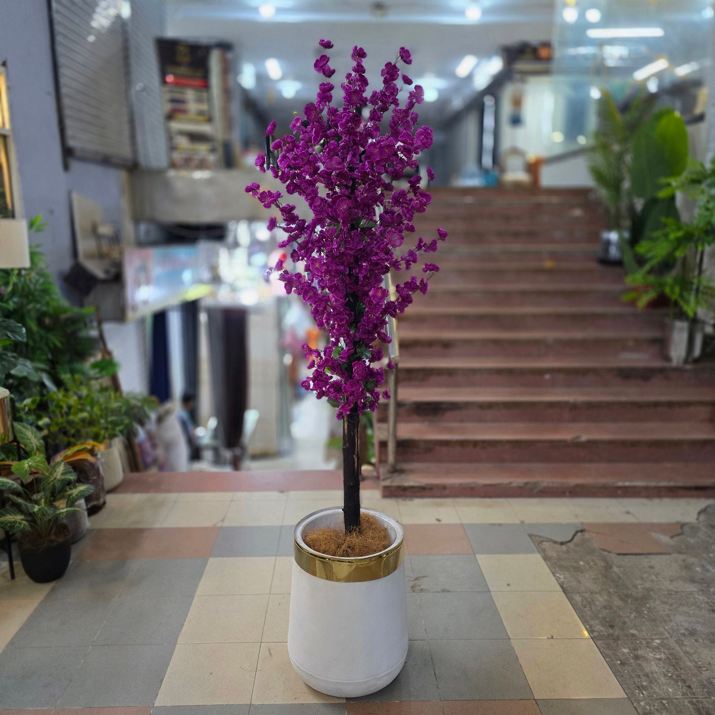 Blossom Plant with Pot