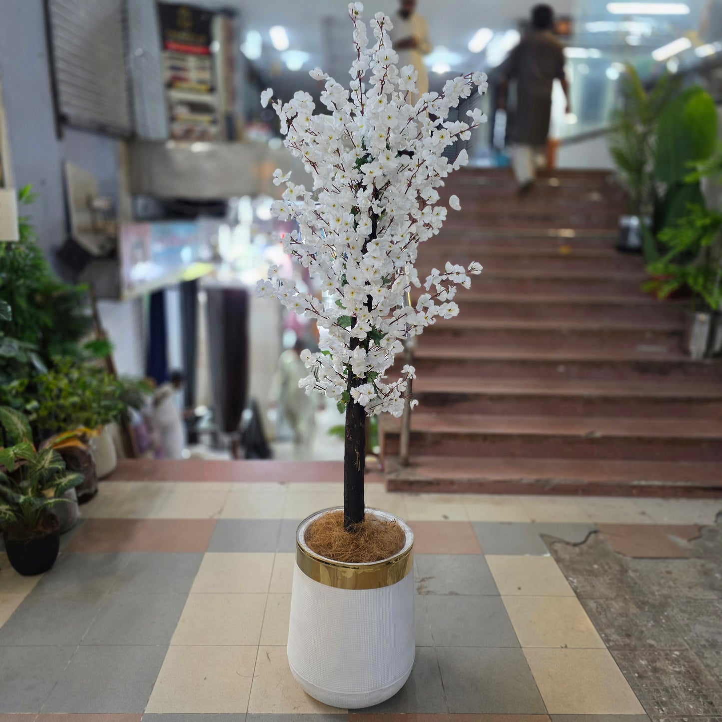 Blossom Plant with Pot