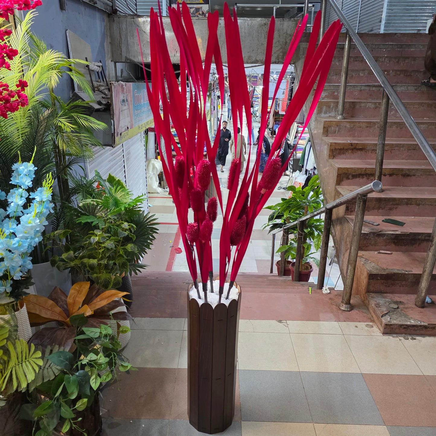 5 in 1 Pine Curly Sticks