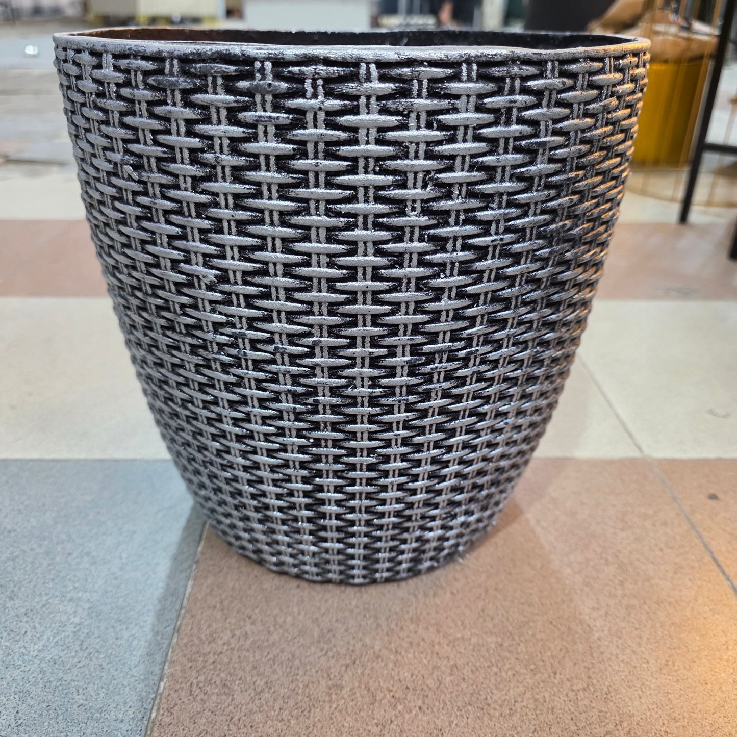 Dwarf Umbrella Plant (5ft)