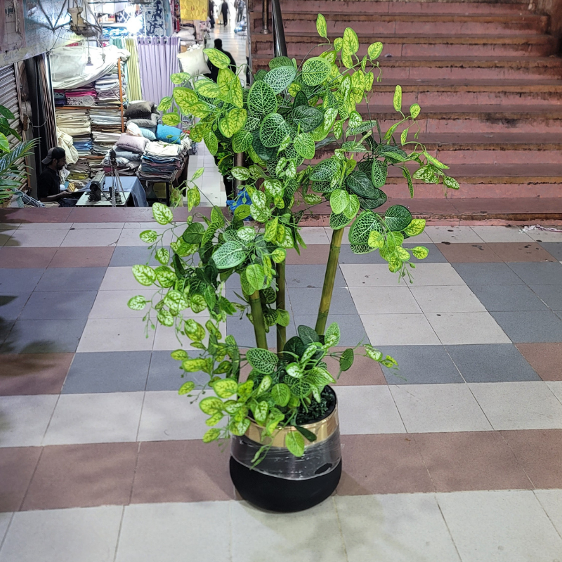 Turkish leaves with fiber pot 4ft