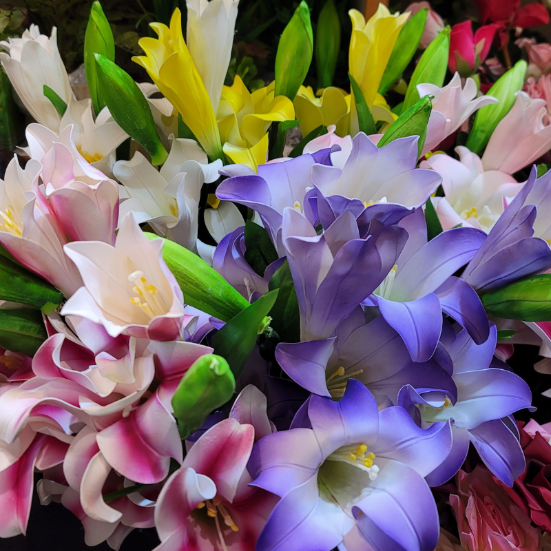 Thai Lily Sticks