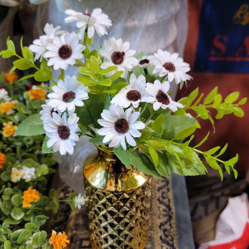 Cape Daisy Bunch