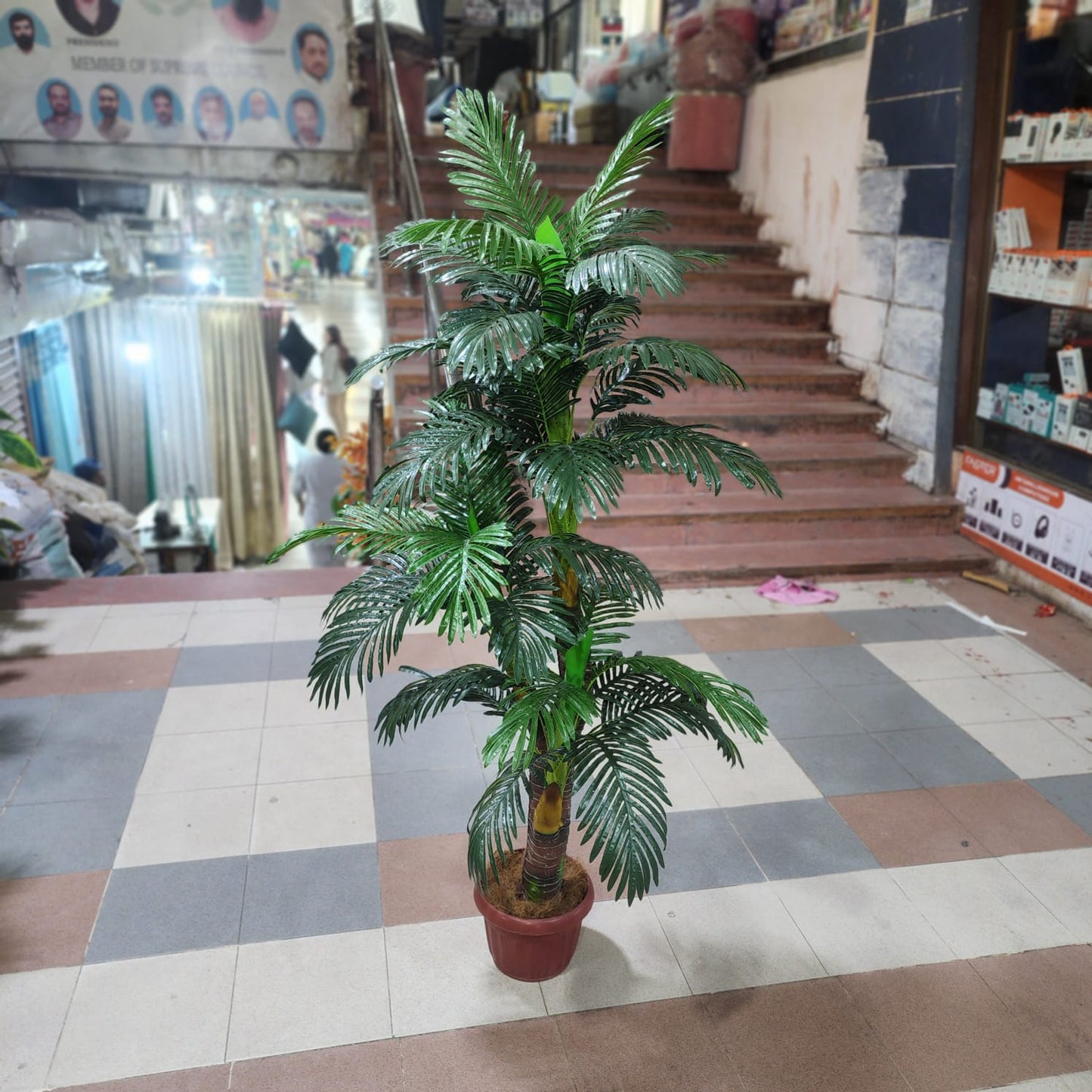 Palm Tree 3-in-1 (5ft)