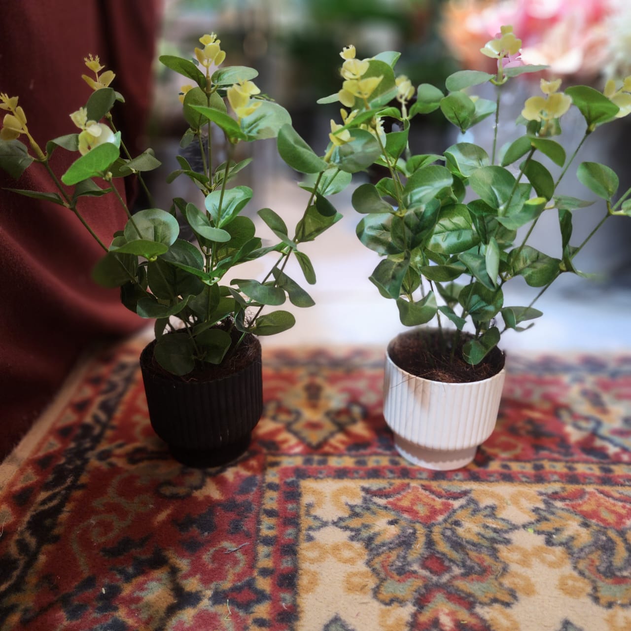 Eucalyptus Leaves Filler Pot