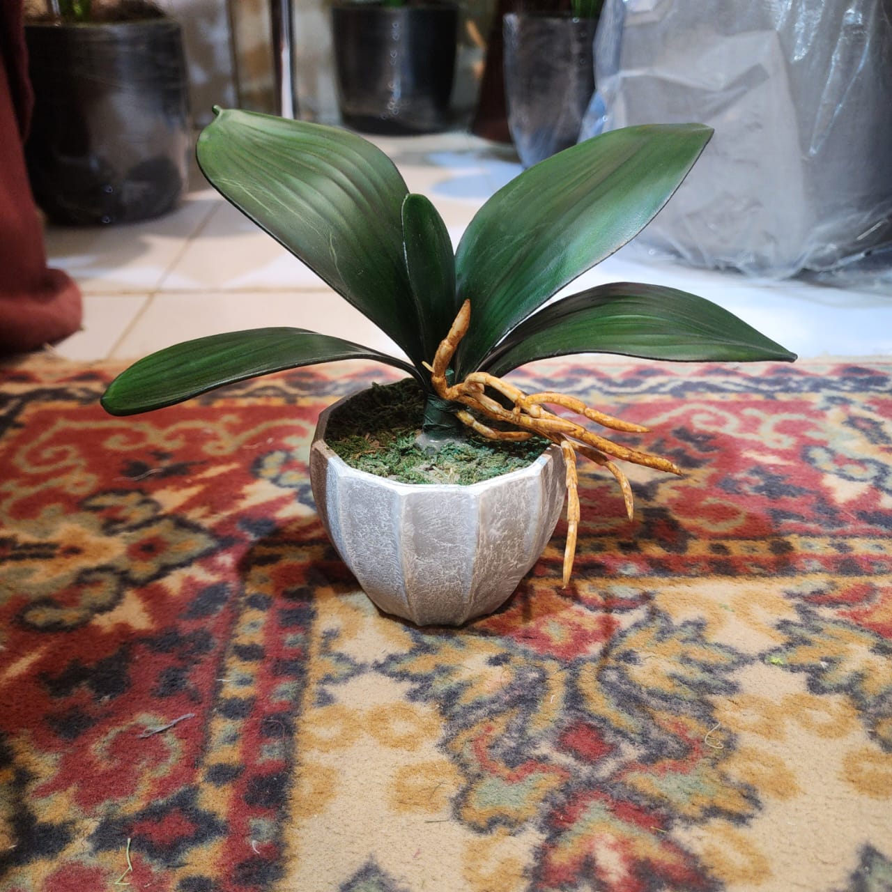 Rubber Leaves Filler Pot