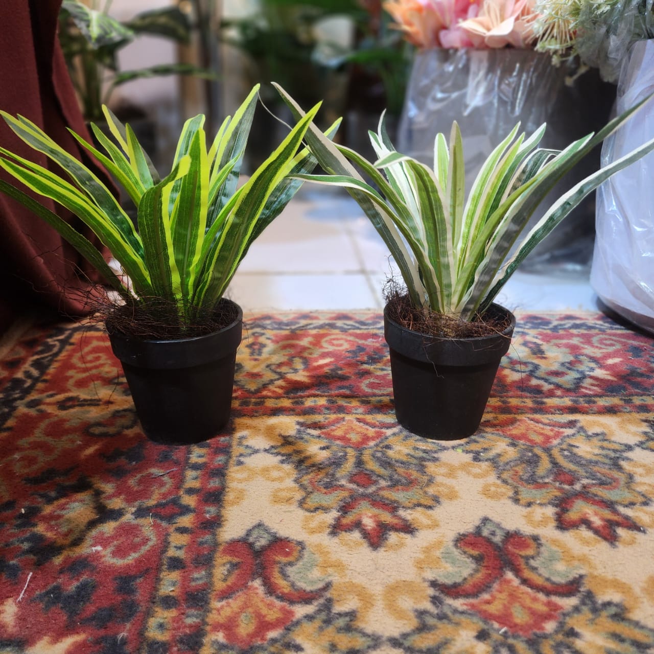 Spider Leaves Filler Pot