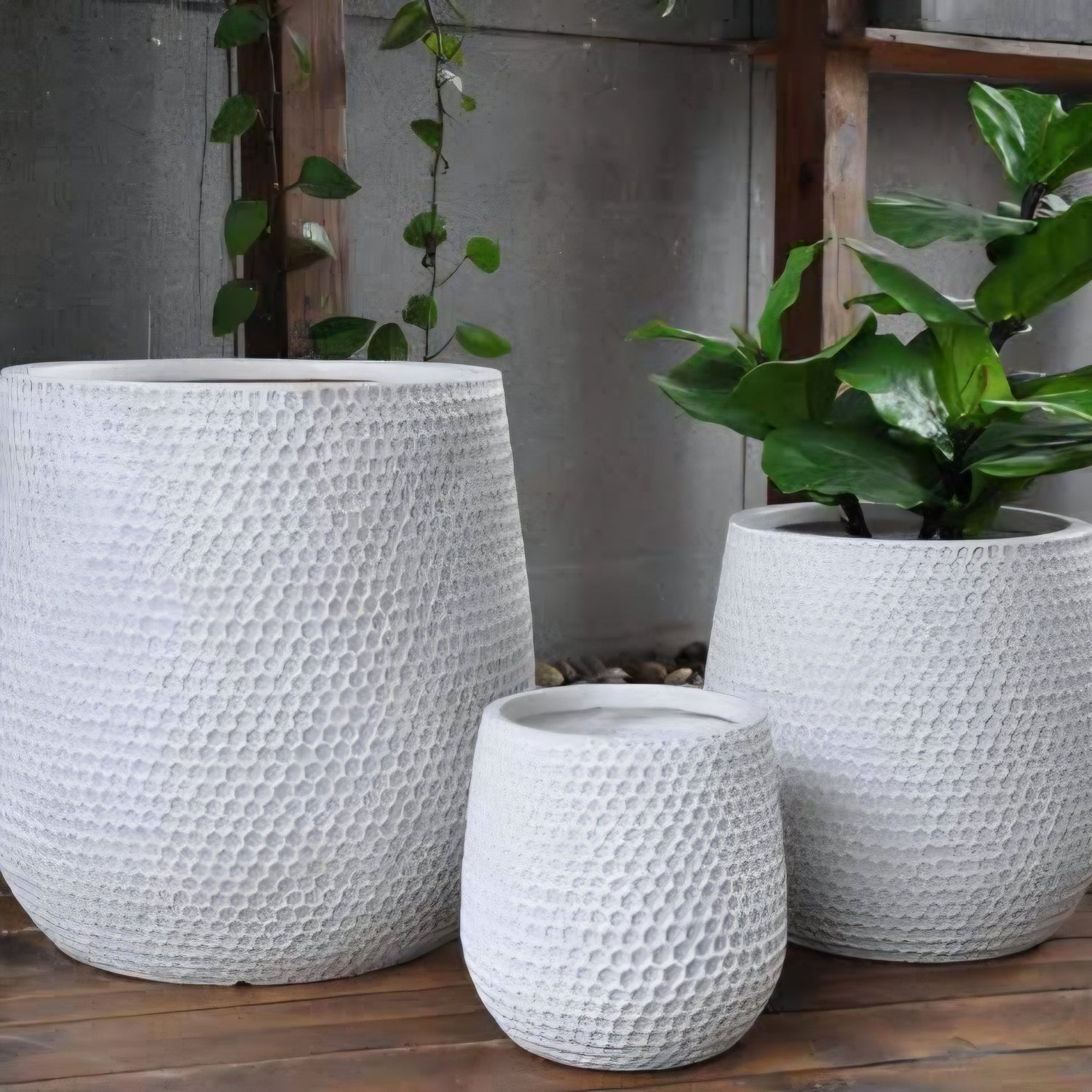 Planters