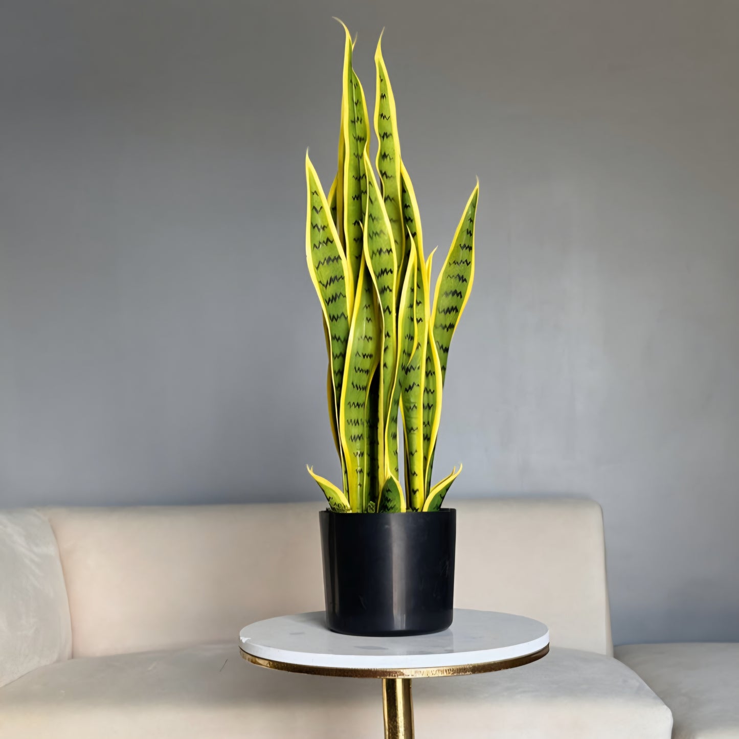 Artificial Snake Plant 3ft