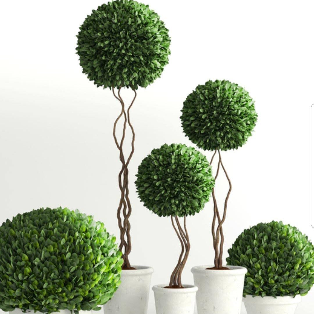 Green Jasmine Leaves Ball