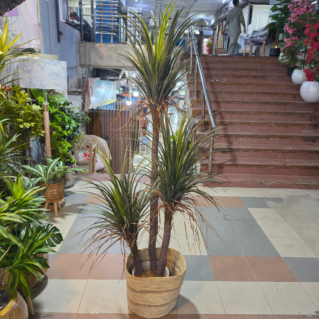 Artificial Dracaena Plant 5.5ft