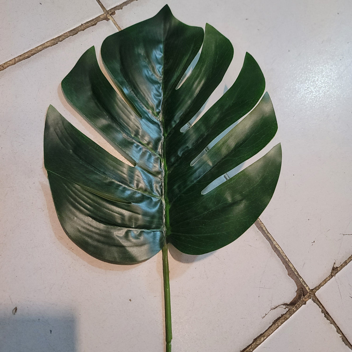 Monstera Single Leaves – Raj Flowers product image