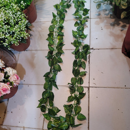Big Leaf Two Sided Vine