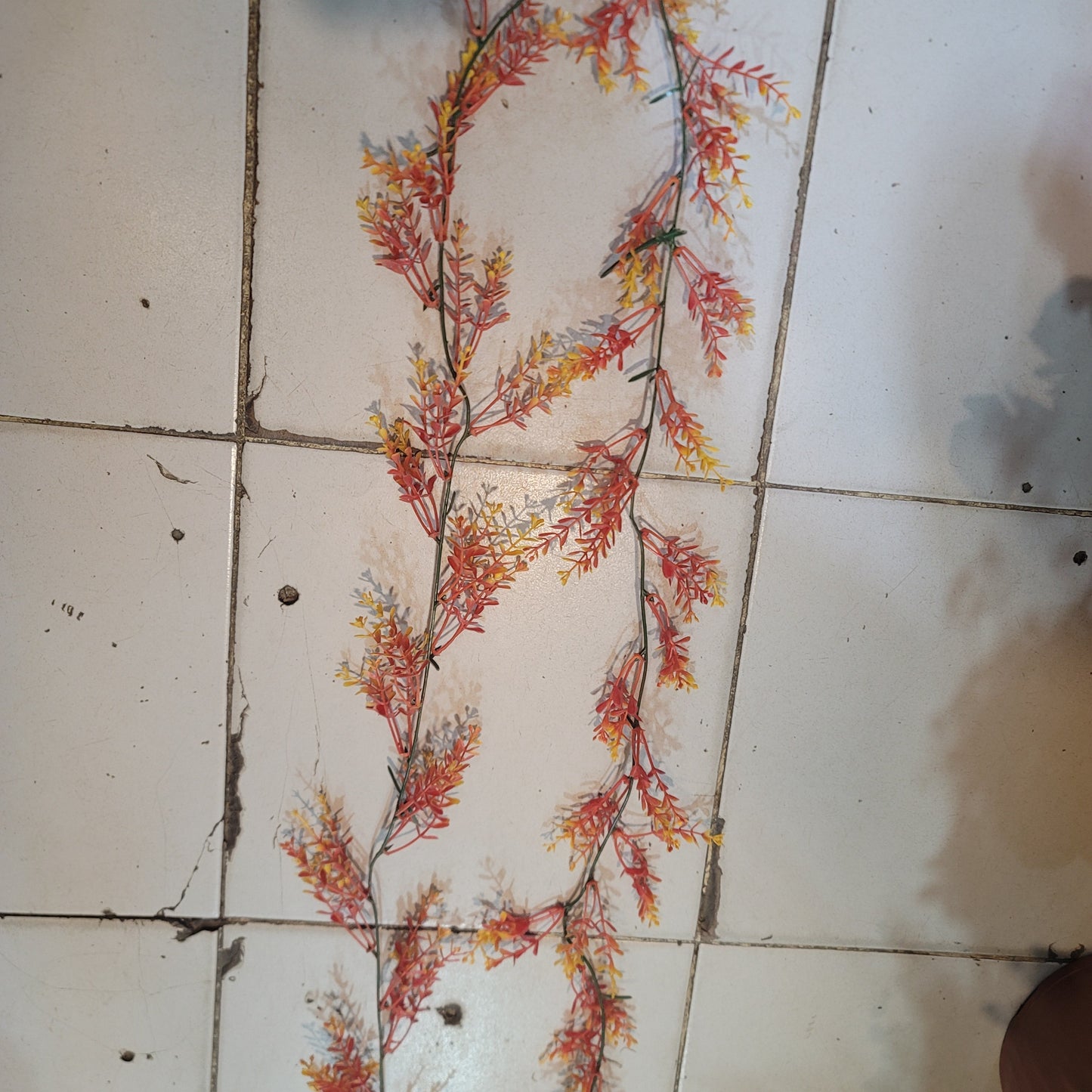 Brazilian Flower Vine