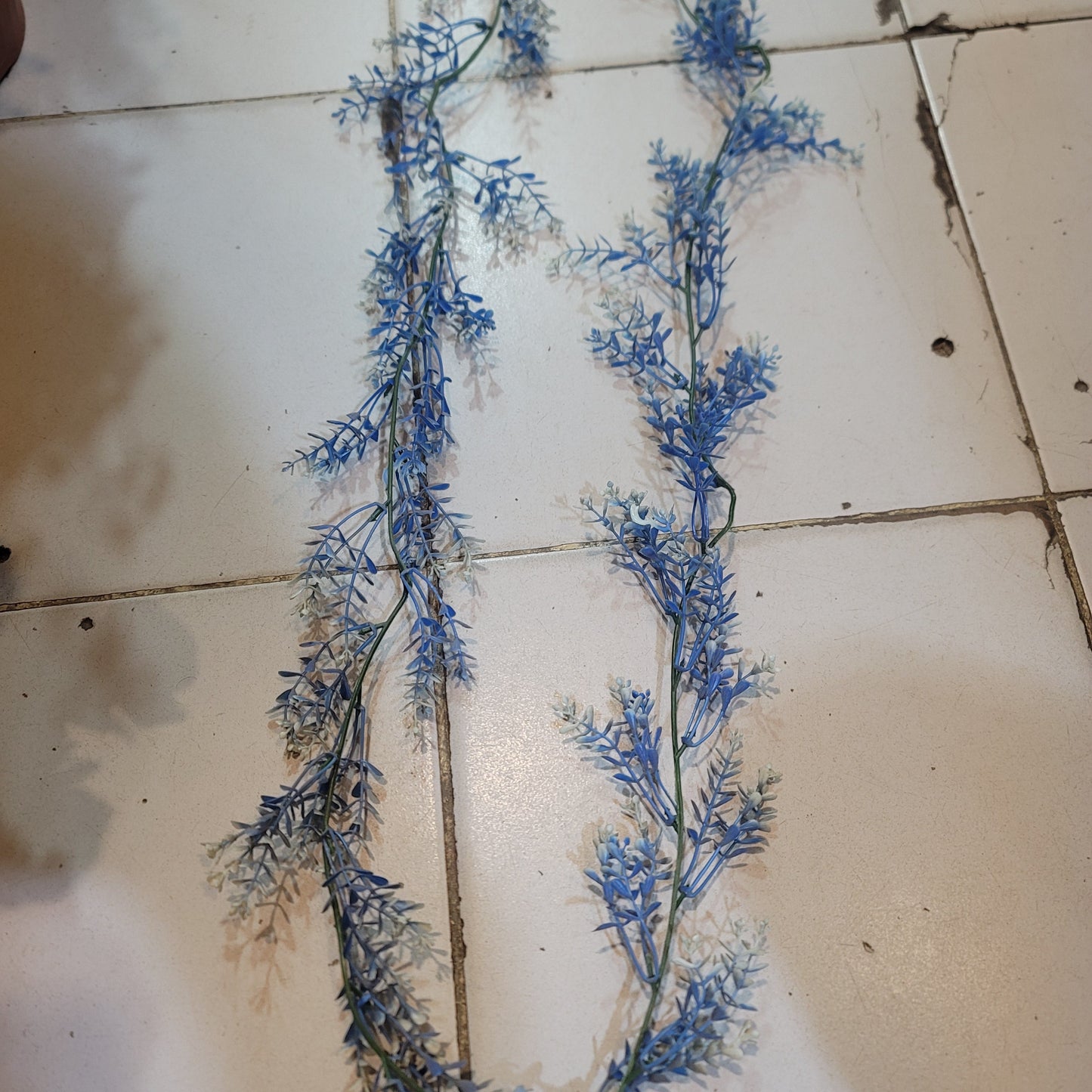Brazilian Flower Vine