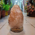Natural Salt Lamp – Raj Flowers product image
