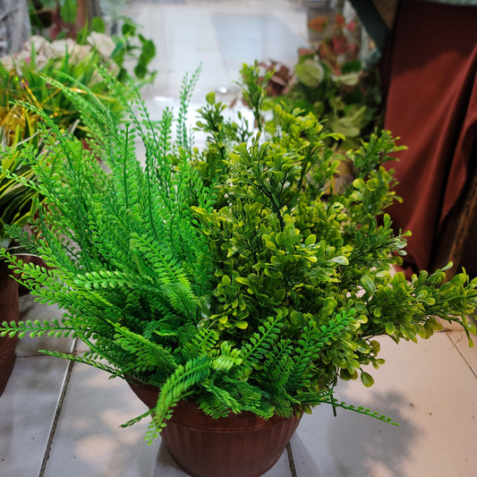 Green Filler Bunches