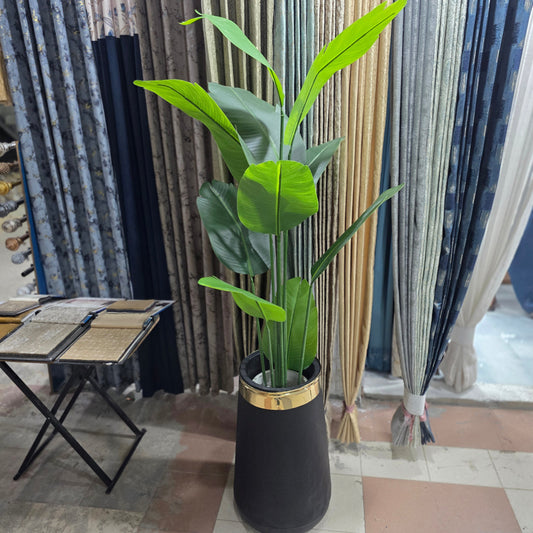 Banana Palm - 8 Leaves with fiber pot 6.5ft