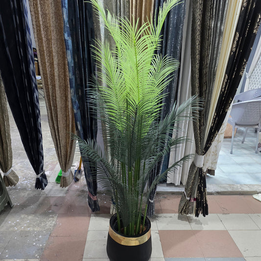 Areca Palm With Fiber Pot 6ft