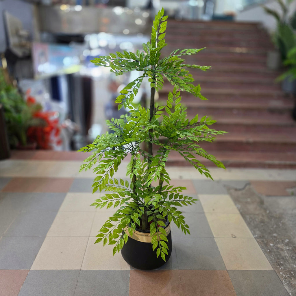 Ficus Bamboo Plant 6ft – alternate product view 4