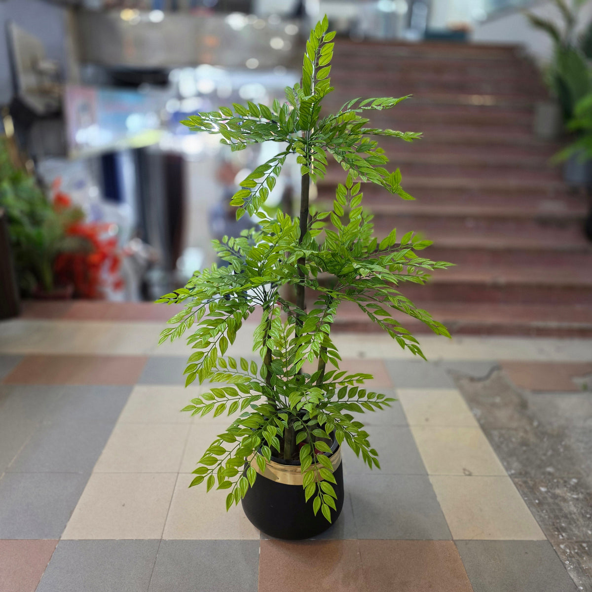 Ficus Bamboo Plant 6ft