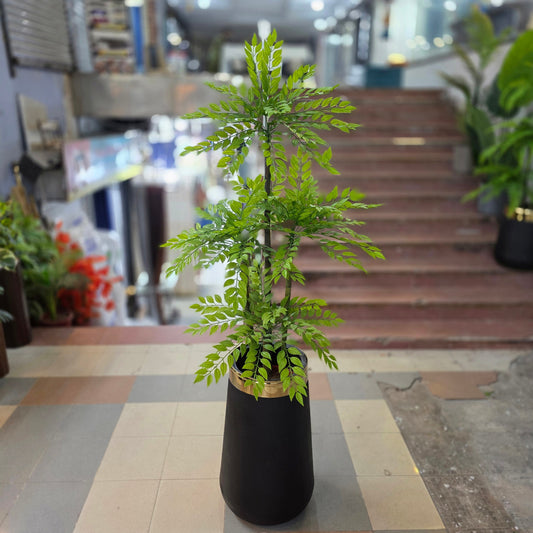 Ficus Bamboo Plant 6ft