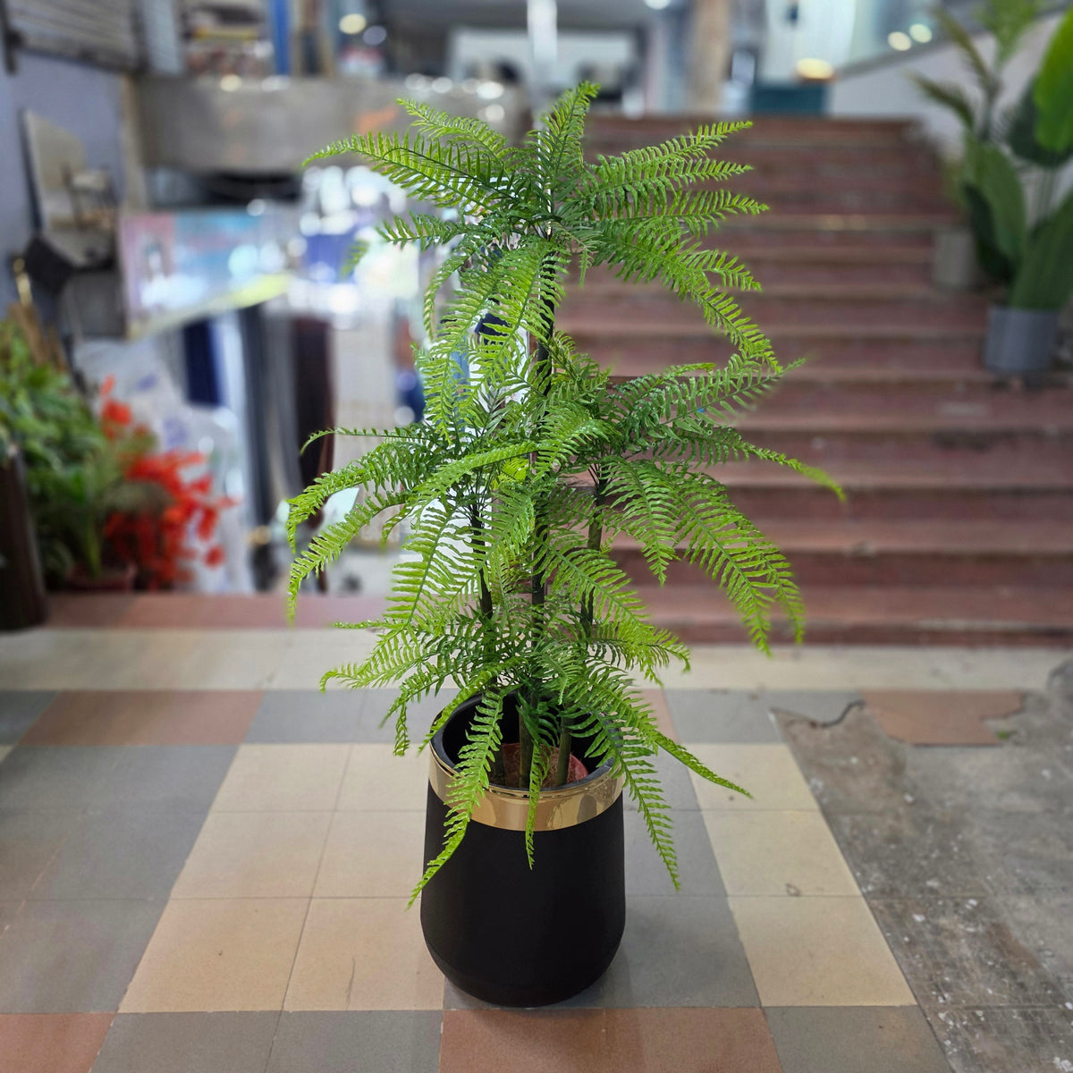 Fern Plant 5ft
