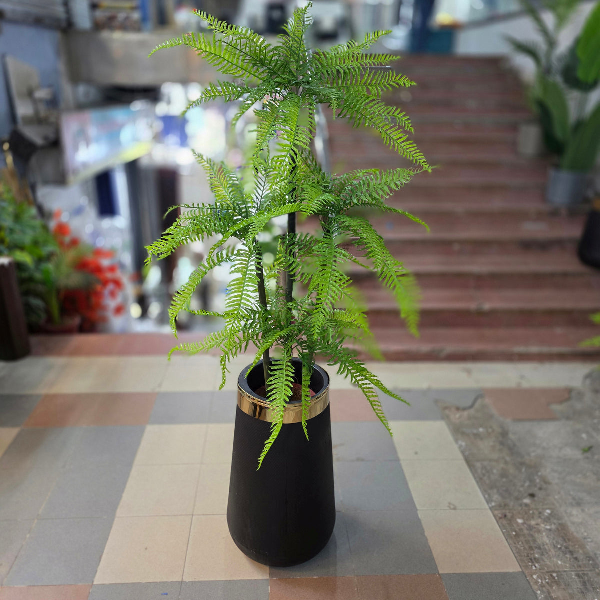 Fern Plant 5ft
