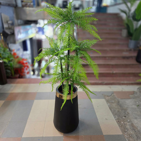 Cactus Bamboo Plant 5ft