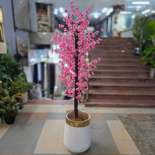 Blossom Plant with Pot