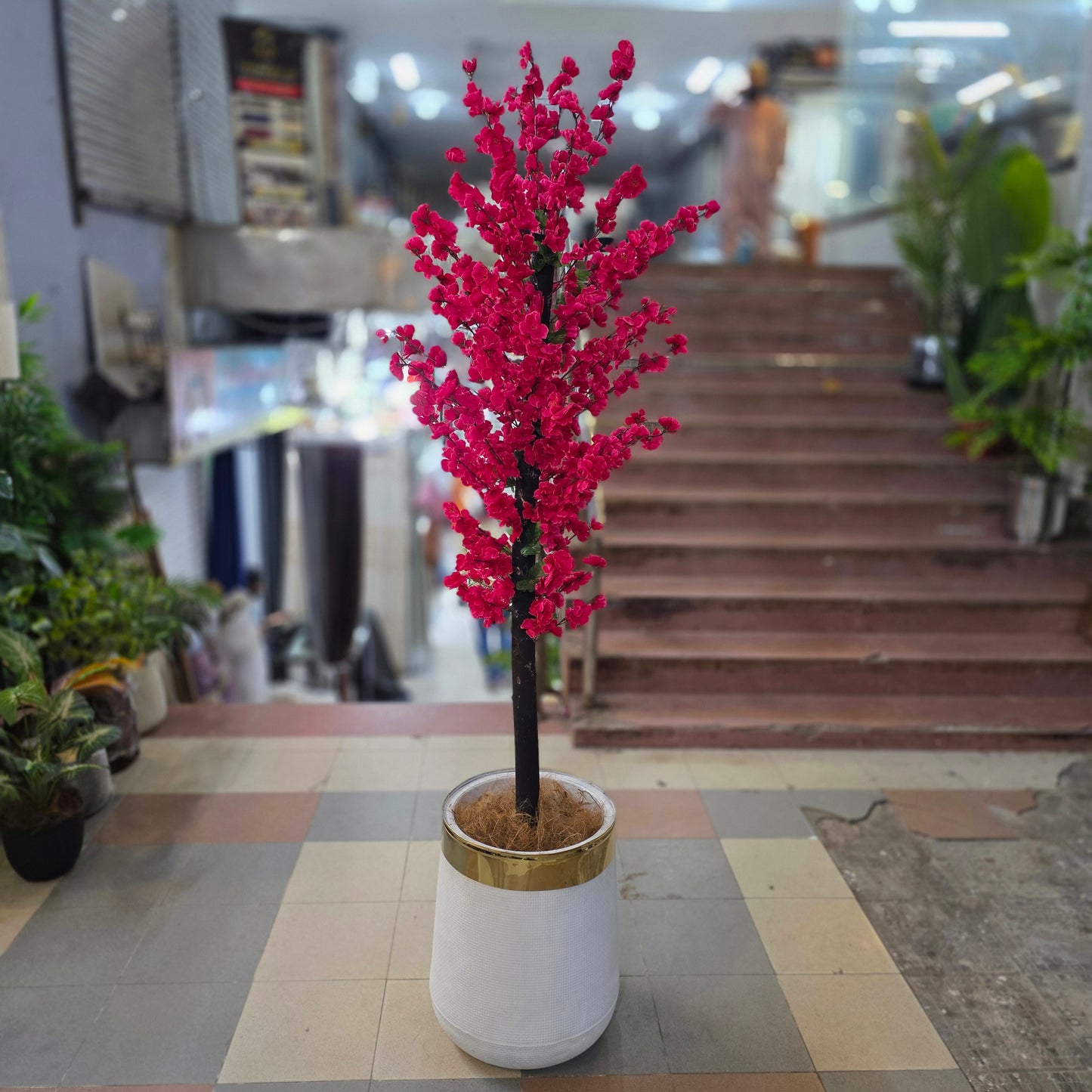 Blossom Plant with Pot