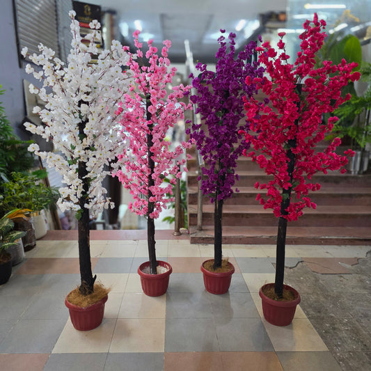 Blossom Plant