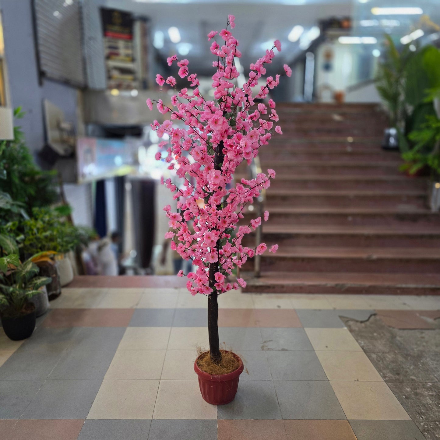 Blossom Plant with Pot