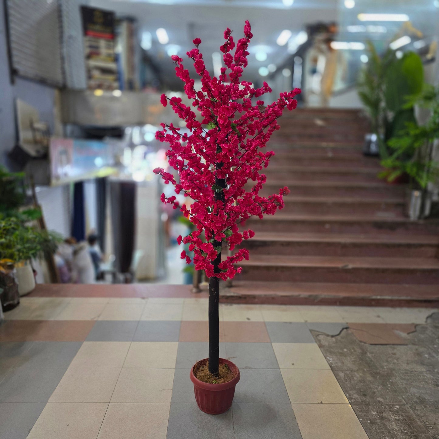 Blossom Plant with Pot