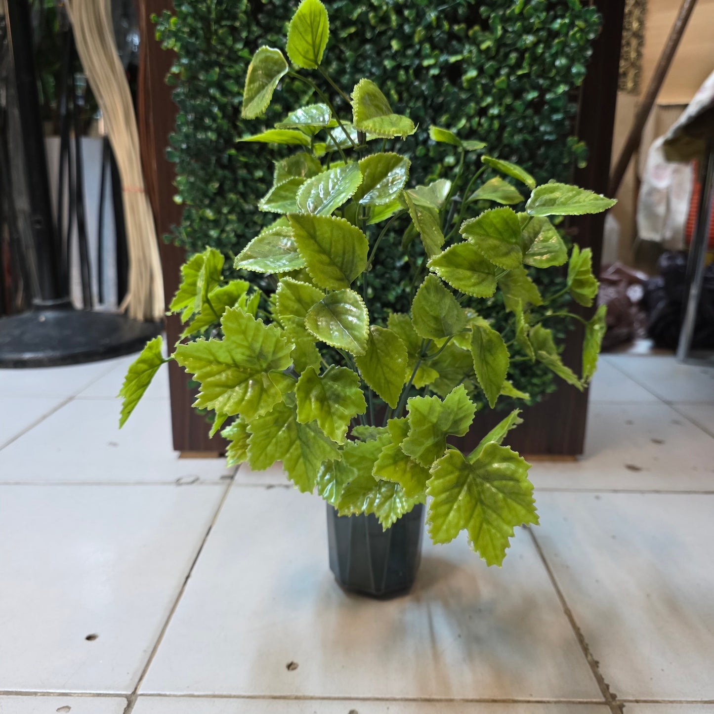 Green Filler Bunches