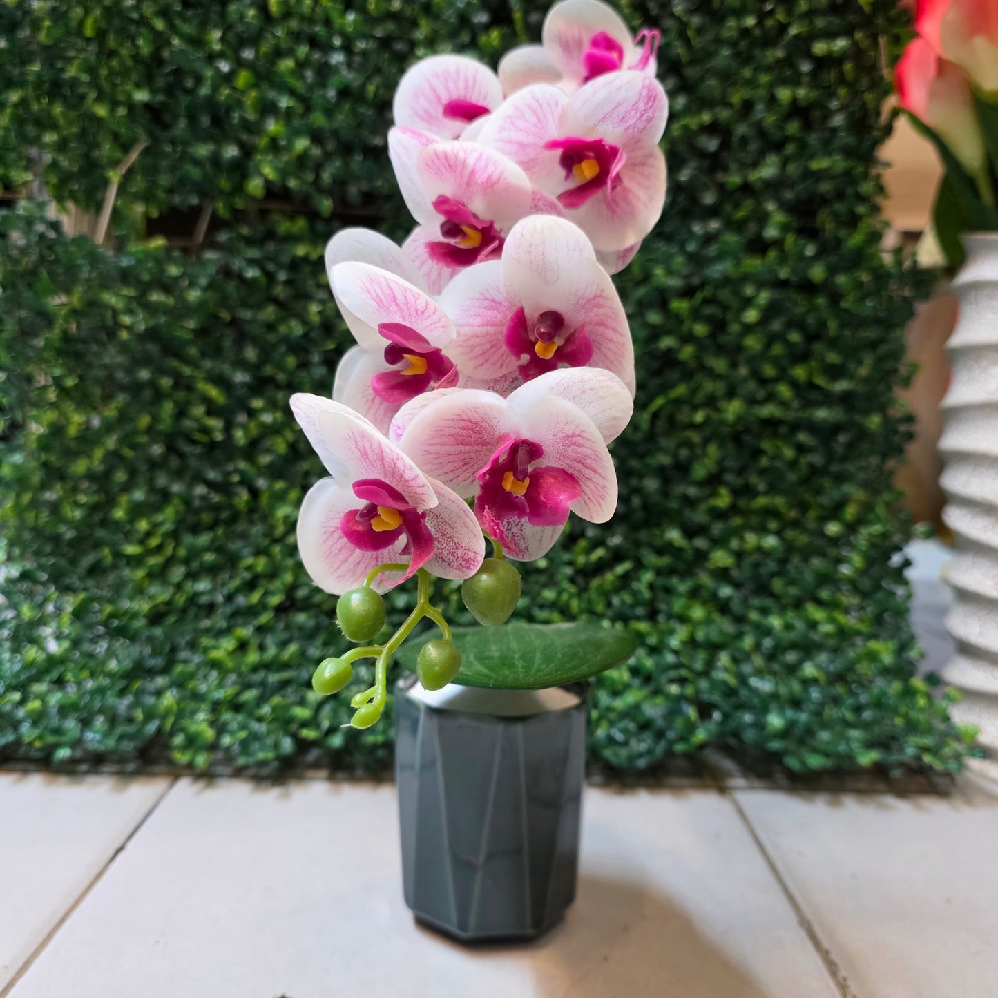 Orchid Sticks Small