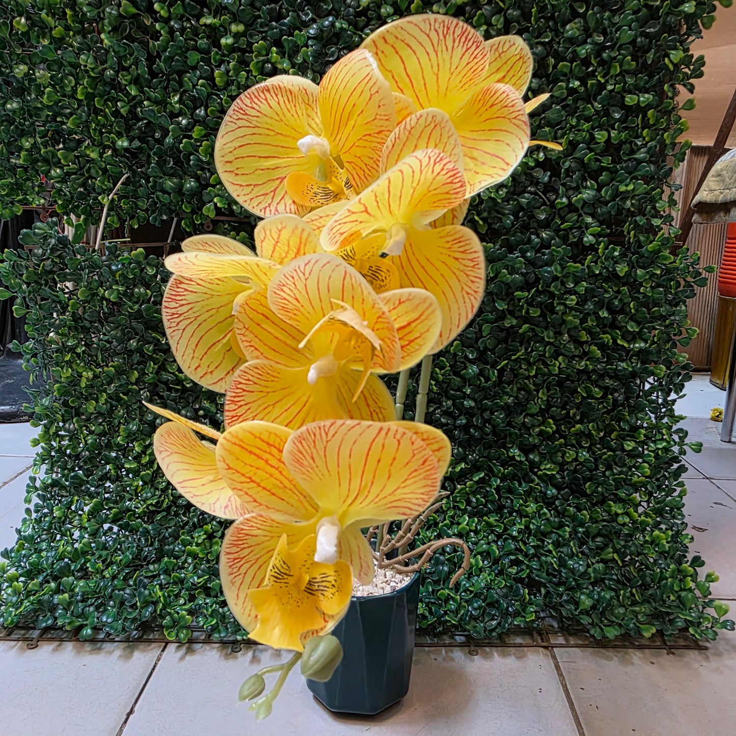 Orchid Stick in Ceremic Pot