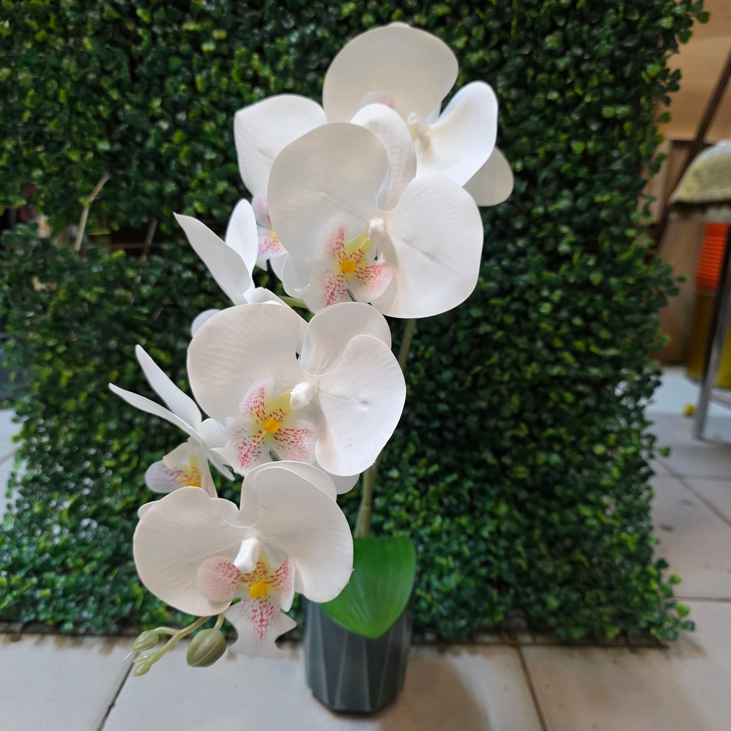 Orchid Stick in Ceremic Pot
