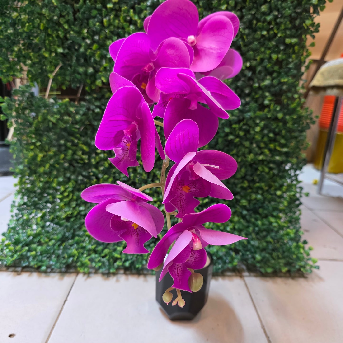Small Orchid Stick in Ceremic Pot