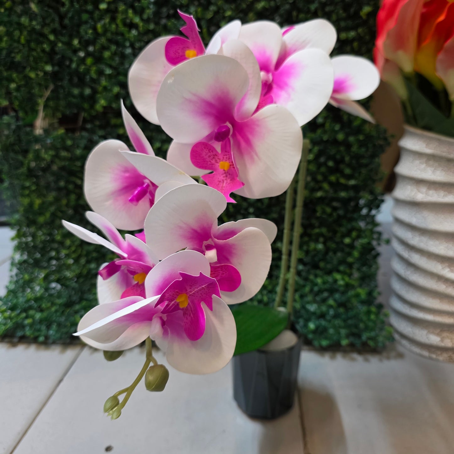 Orchid Stick in Ceremic Pot