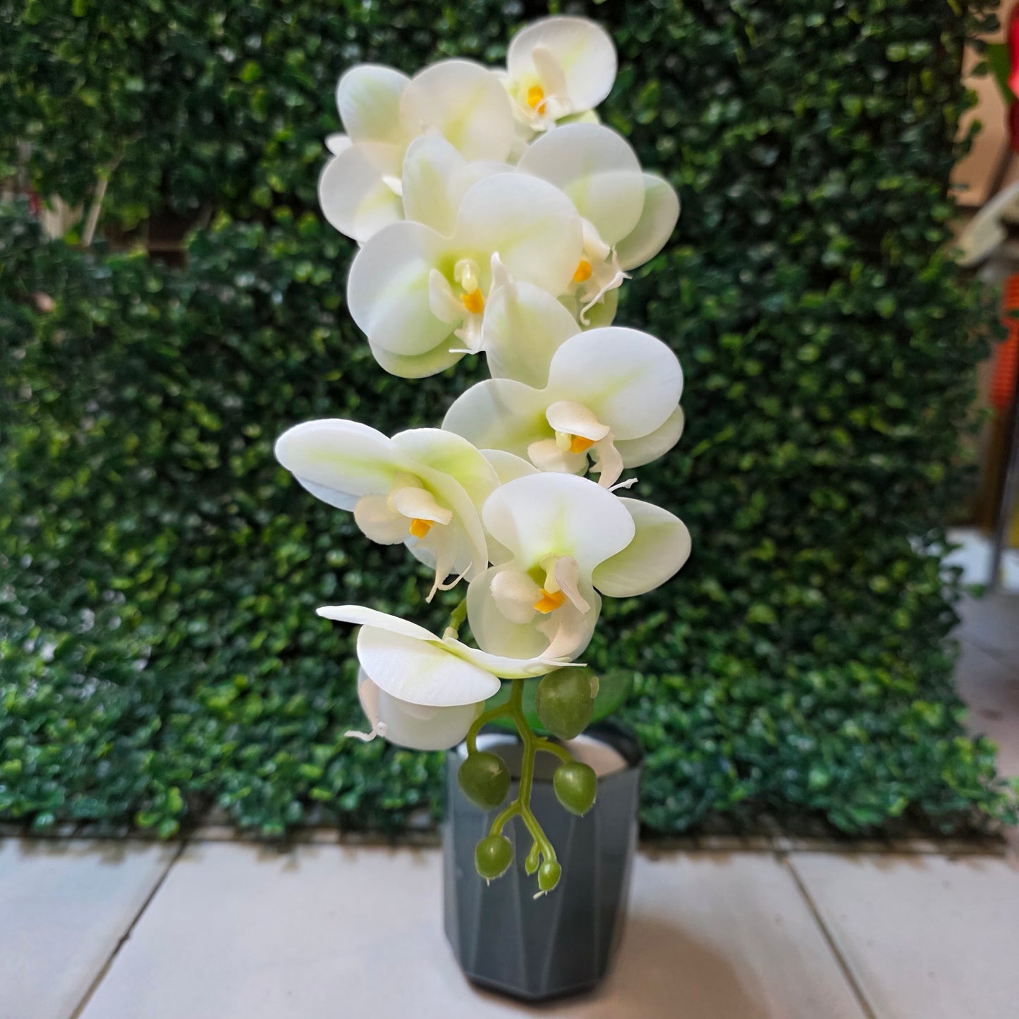 Small Orchid Stick in Ceremic Pot